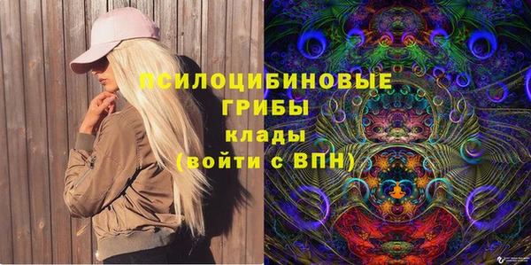 крисы Алексин