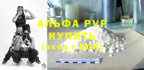 крисы Алексин