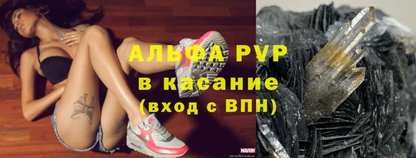 крисы Алексин
