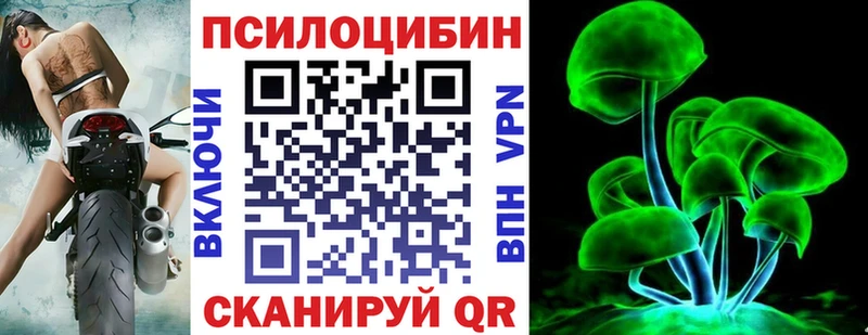 Галлюциногенные грибы Cubensis  мега вход  Краснознаменск 